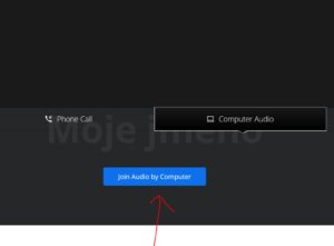 Klikni na modré tlačítko "Join Audio by Computer"