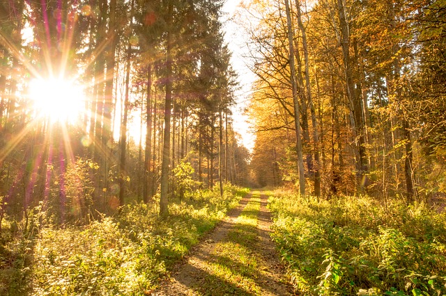 cesta světla